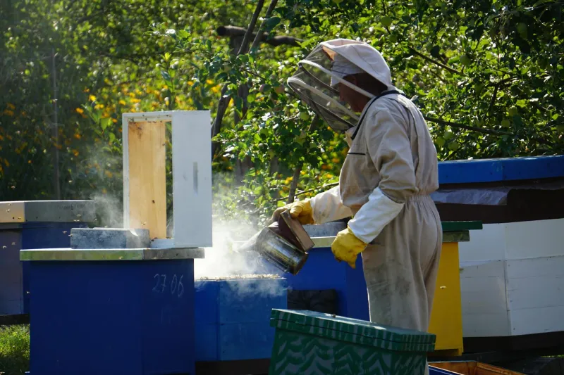The Beekeeper Who Beat Science at Its Own Game