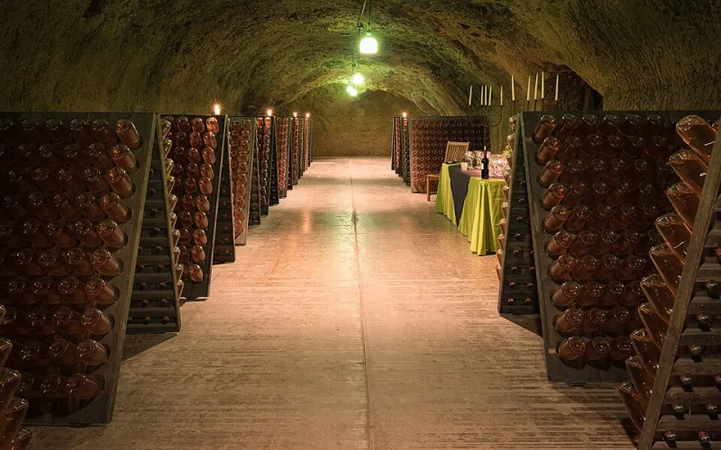 Dirt, Vines, and a Dead Man's Land: The Cemetery Worker Who Accidentally Built California Wine