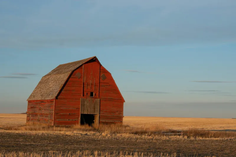 From Hay Bales to Gallery Walls: The Farmhand Who Painted His Way to the Smithsonian